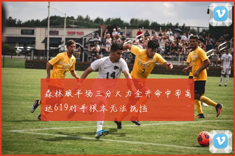 森林狼半场三分火力全开命中率高达619对手根本无法抵挡