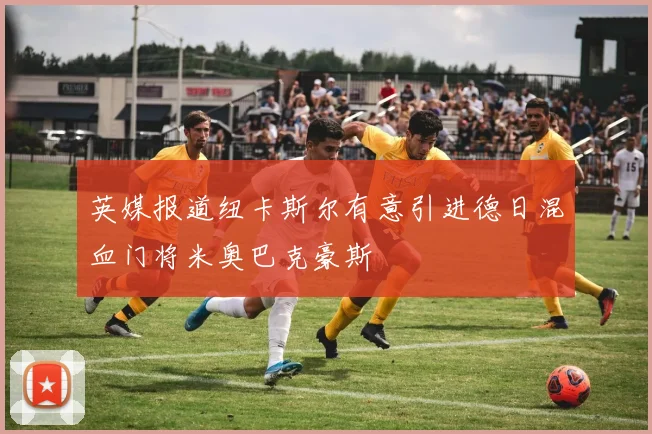 英媒报道纽卡斯尔有意引进德日混血门将米奥巴克豪斯